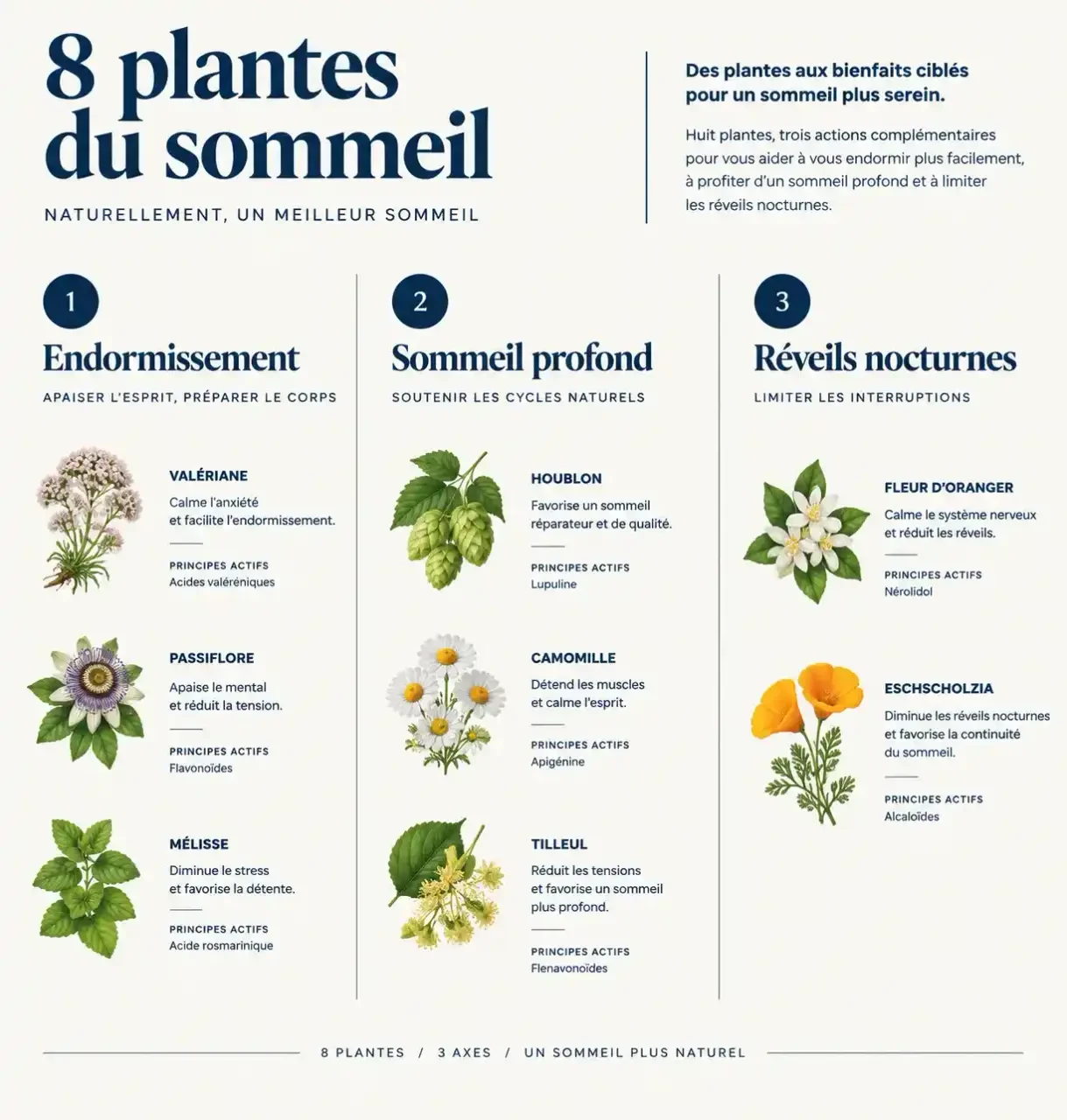 Plante sommeil profond : comparaison des plantes selon le besoin dominant (endormissement, sommeil profond, réveils nocturnes)